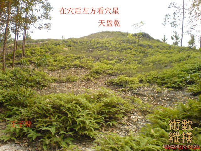 在穴后左方看穴星.jpg