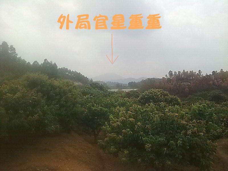 池和外局官星重重.jpg