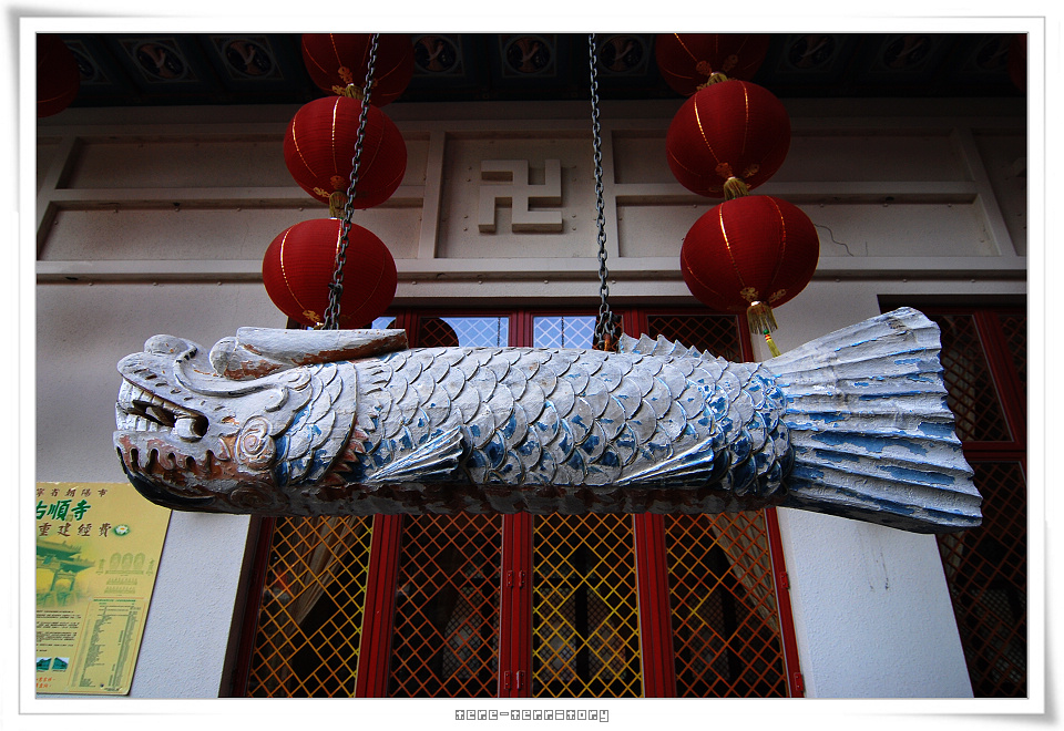 西方寺的打鐘龍魚.jpg
