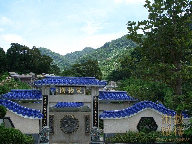來龍.JPG