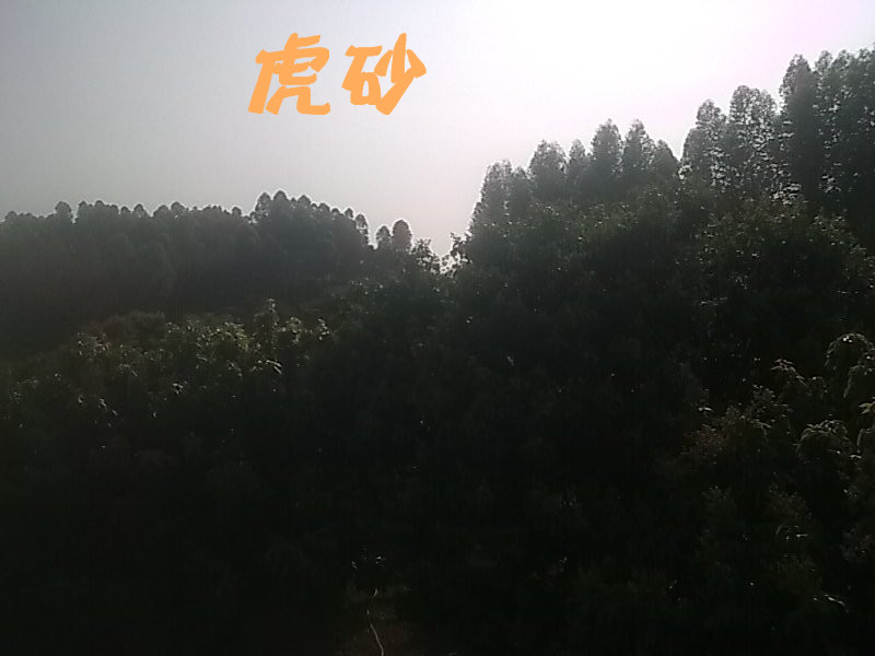 虎砂.jpg