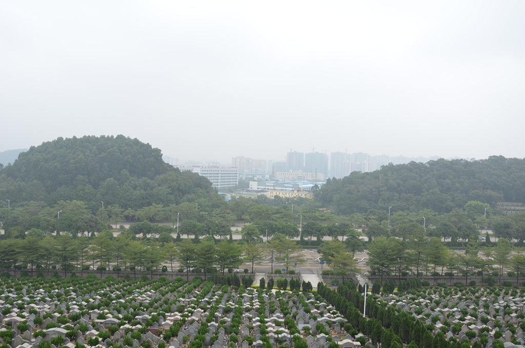 shunde4.jpg