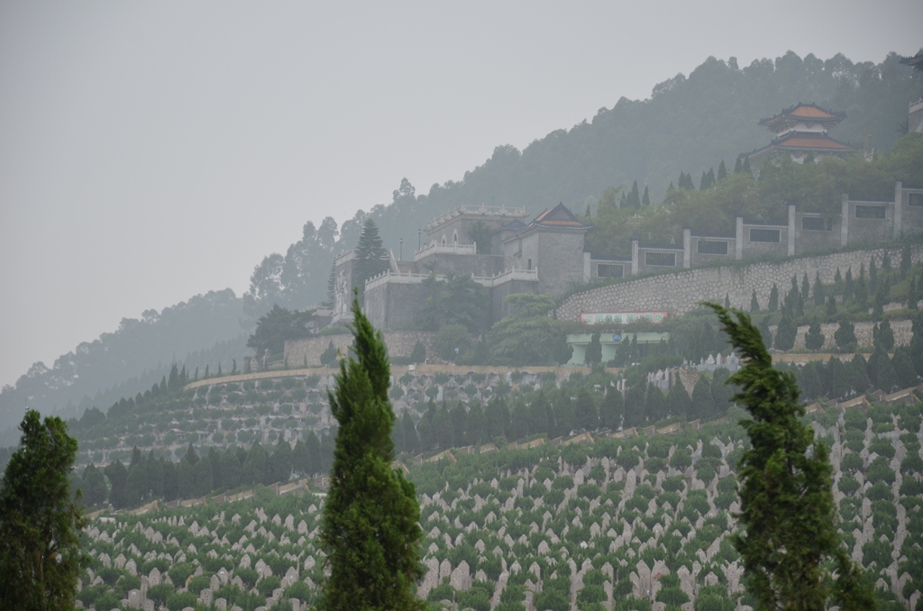 shunde8.jpg