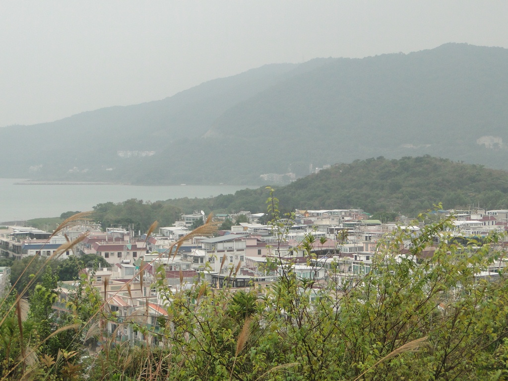skj7.jpg