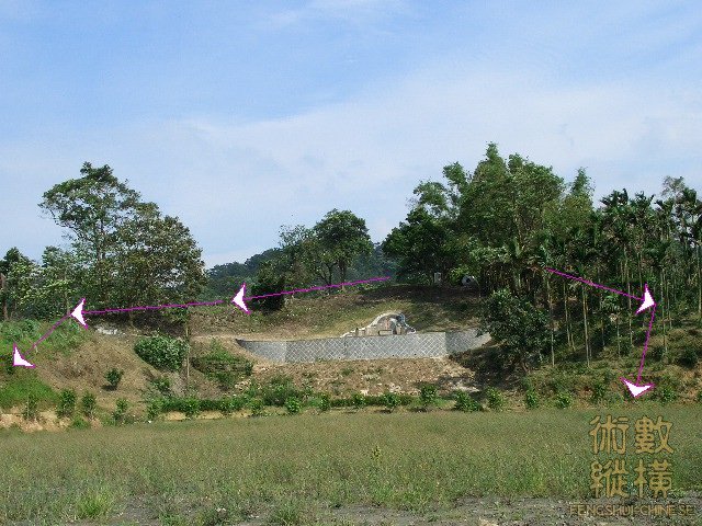 結穴左右短鉗.JPG