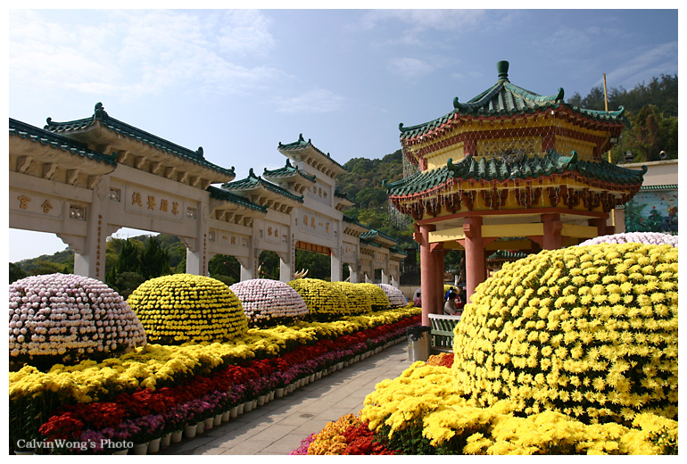 菊花展的明堂.jpg