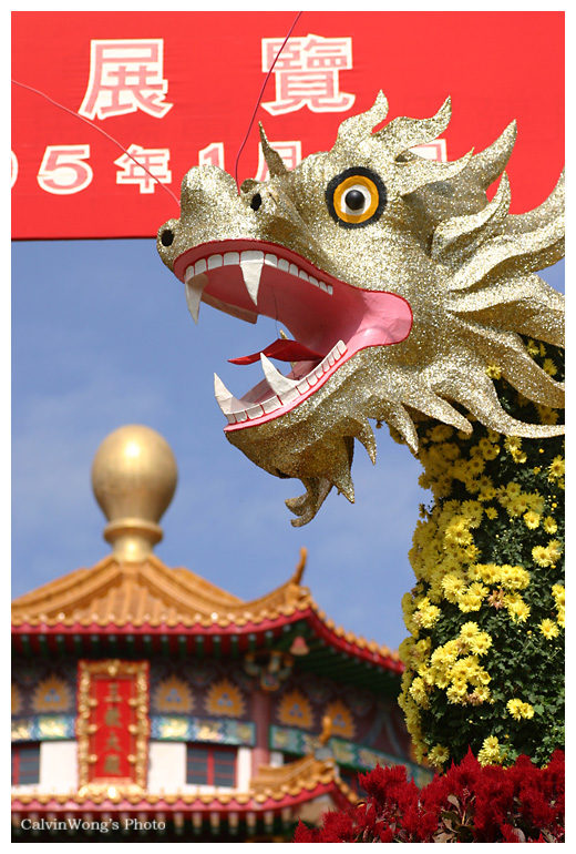 菊花展的龍頭.jpg