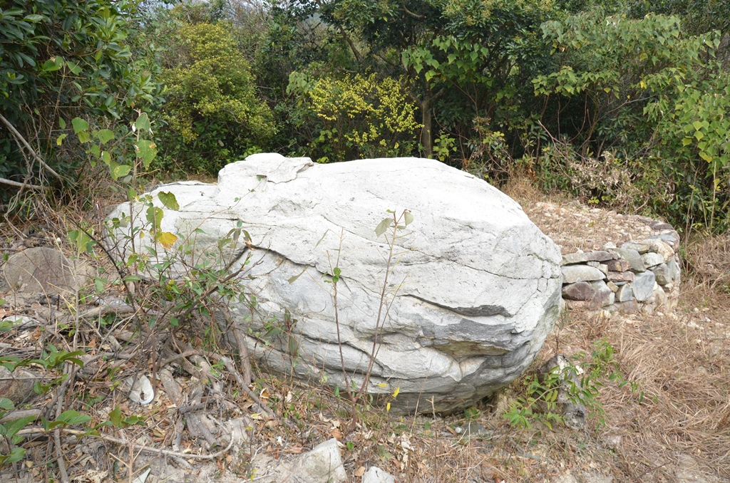 tongfok6.jpg