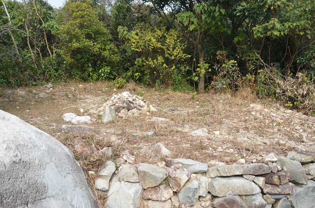 tongfok7.jpg