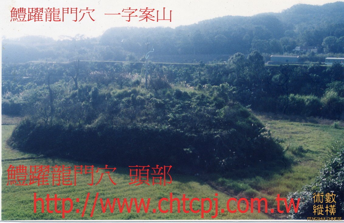 鯉魚頭-D.JPG