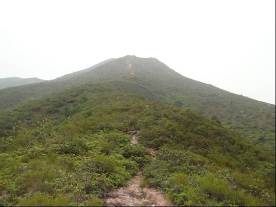 wkt1.jpg