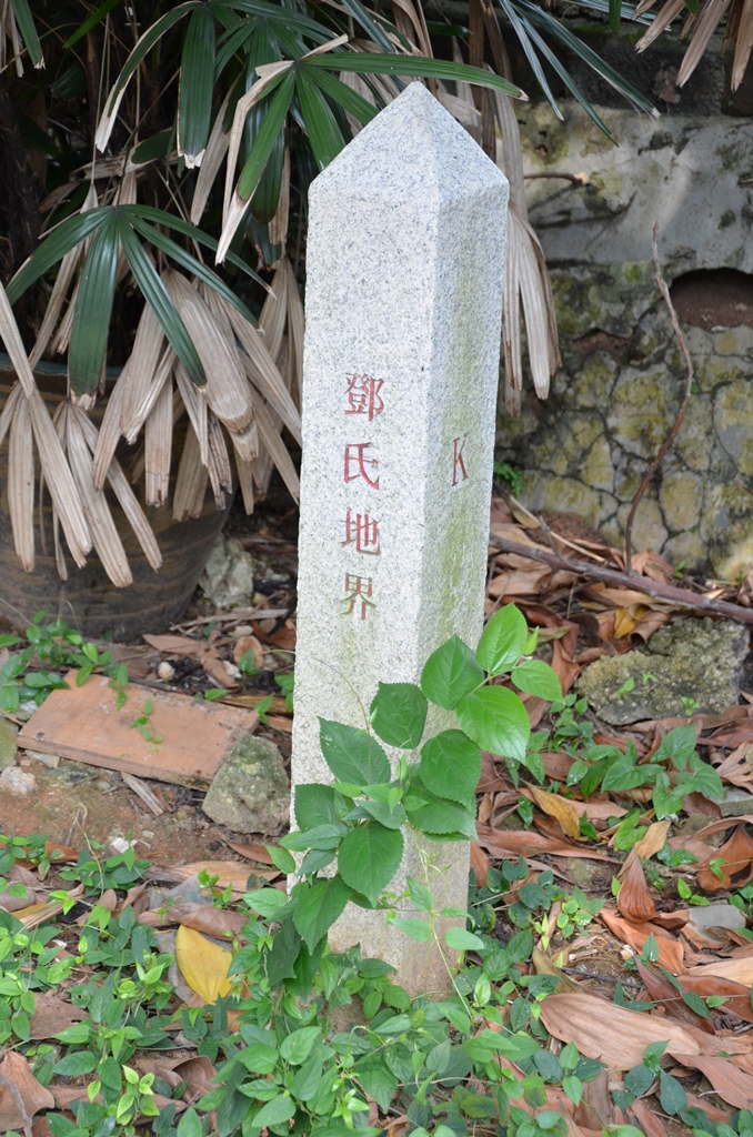 yy2.jpg