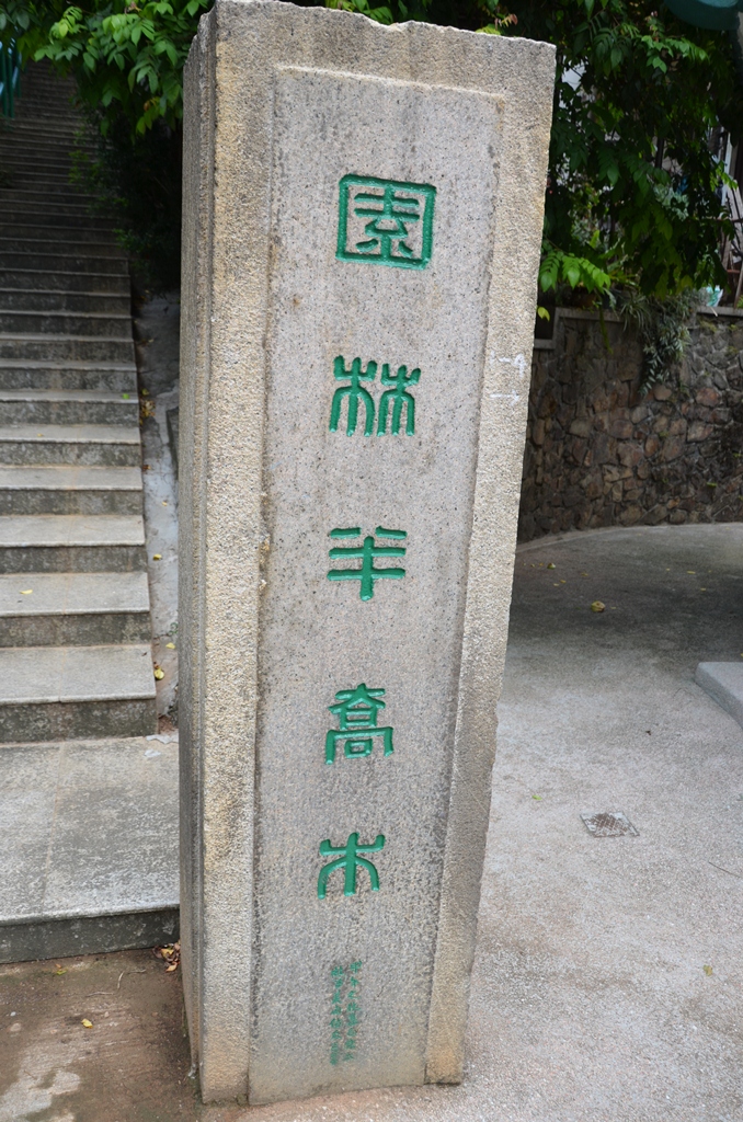 yy7.jpg