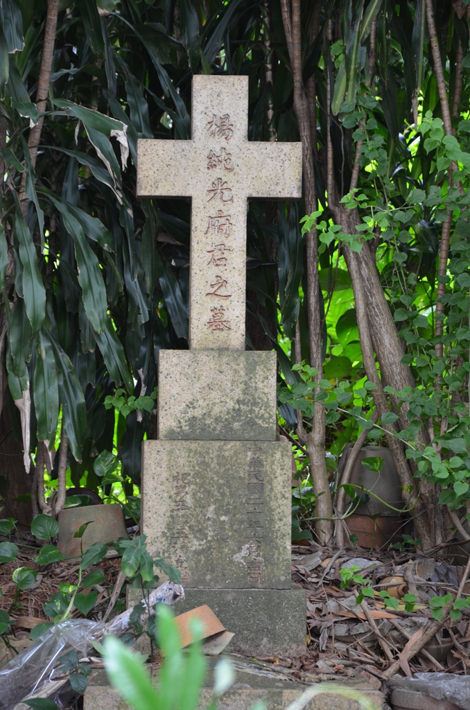 yy8.jpg