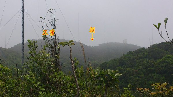 孤墳二 DSC_0271.jpg