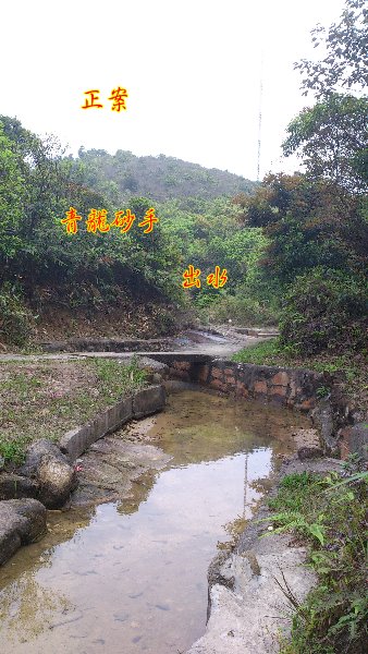 孤墳二 DSC_0280.jpg