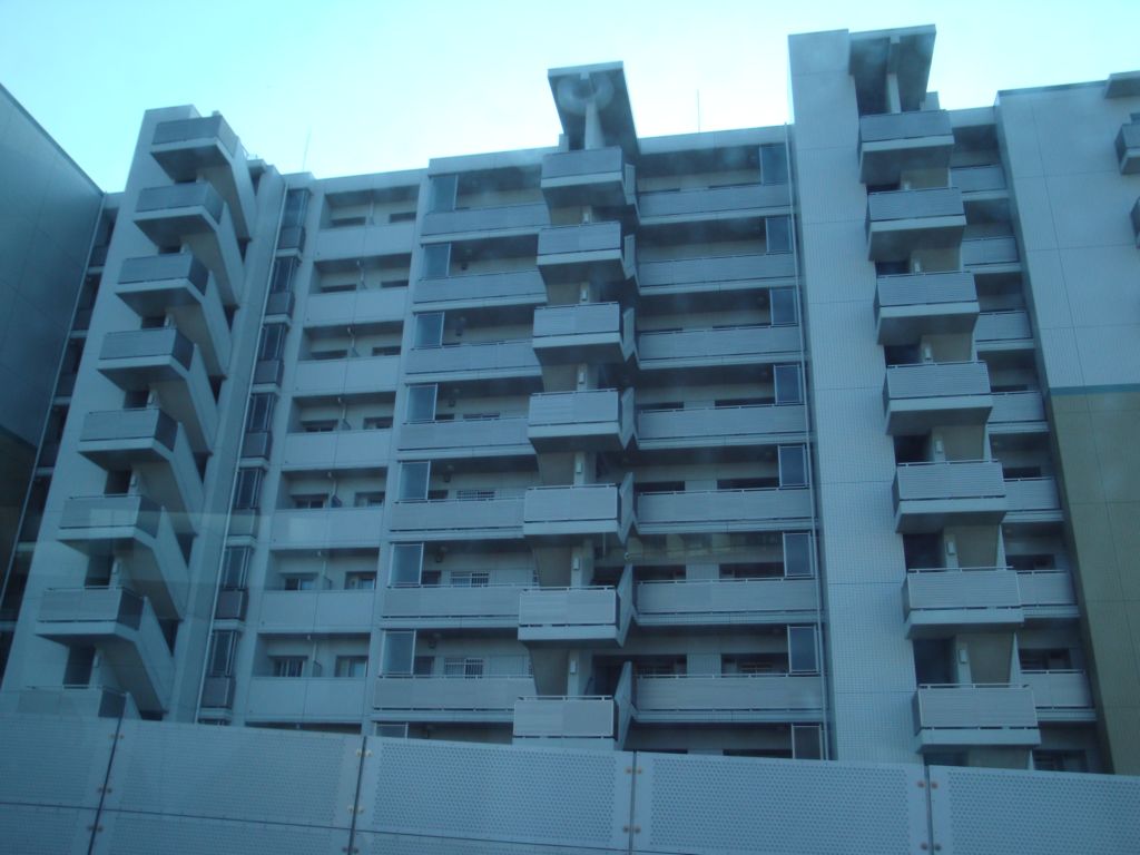 DSC01556.JPG