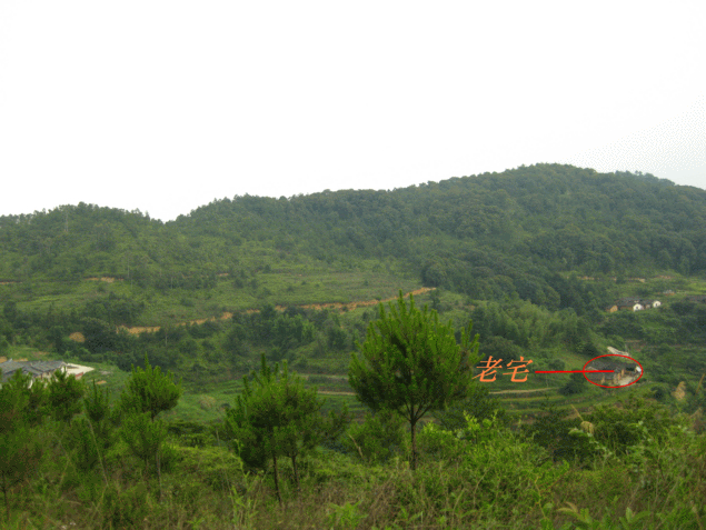 IMG_0825.gif
