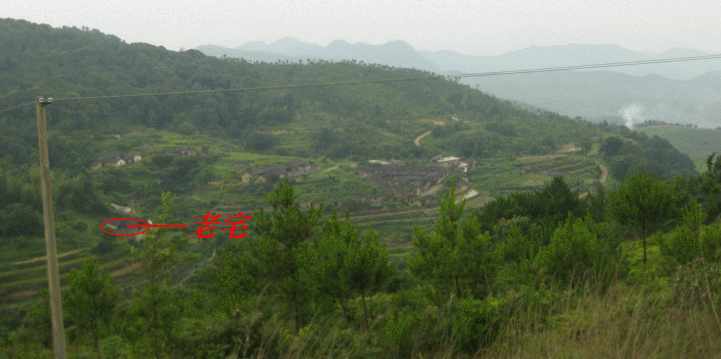 IMG_0832.gif
