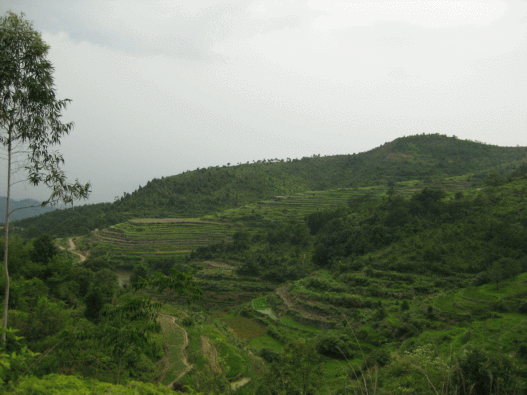 IMG_0872.gif