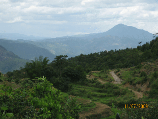 IMG_0901.gif