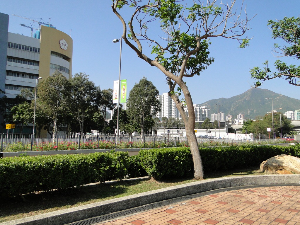 chekong7.jpg