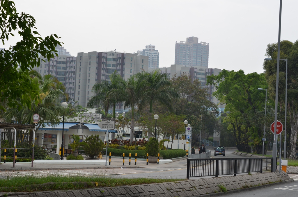 fanling5.jpg