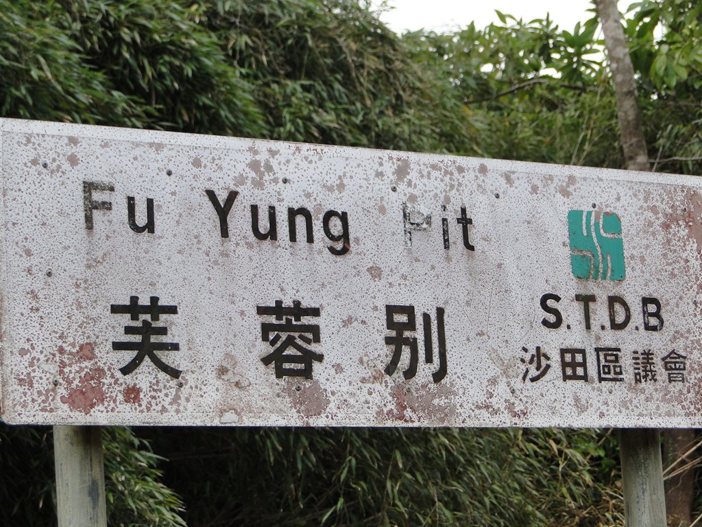 fy.jpg