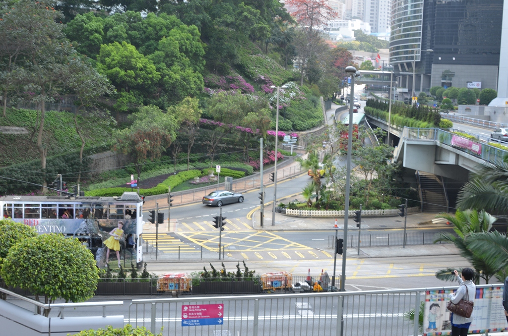 lippo5.jpg