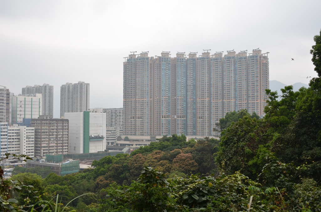 shatin11.jpg