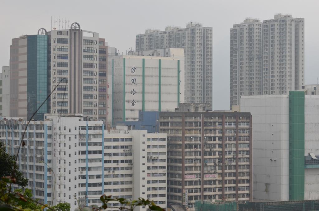 shatin12.jpg
