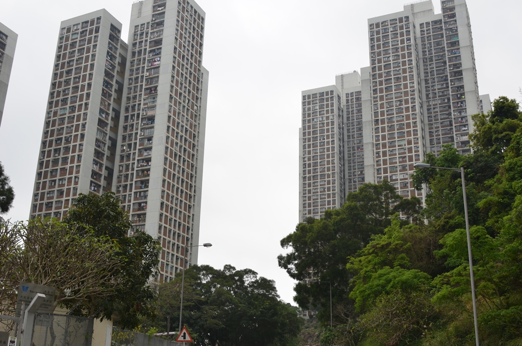 shatin14.jpg