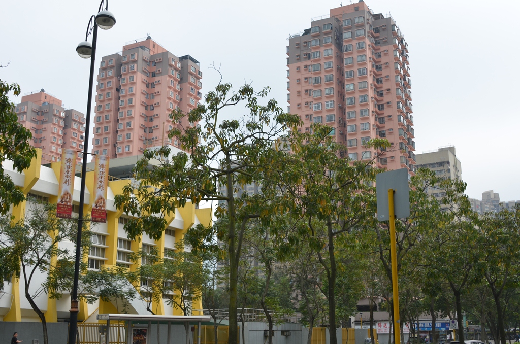 taipo3.jpg