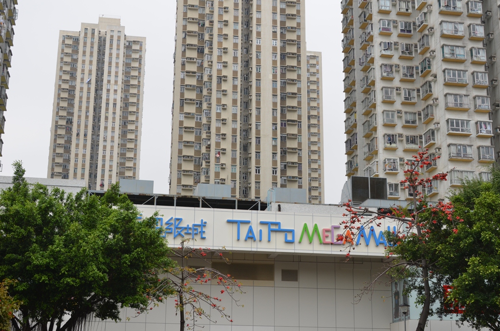 taipo4.jpg