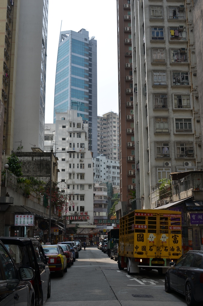 tinhau11.jpg