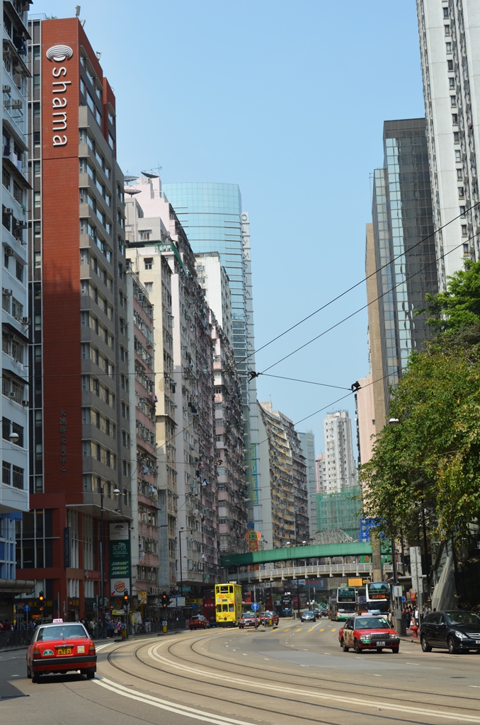 tinhau14.jpg