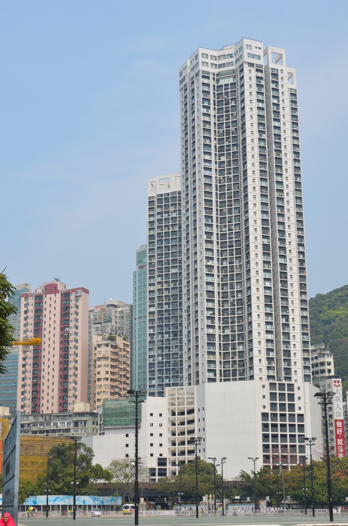 tinhau1.jpg