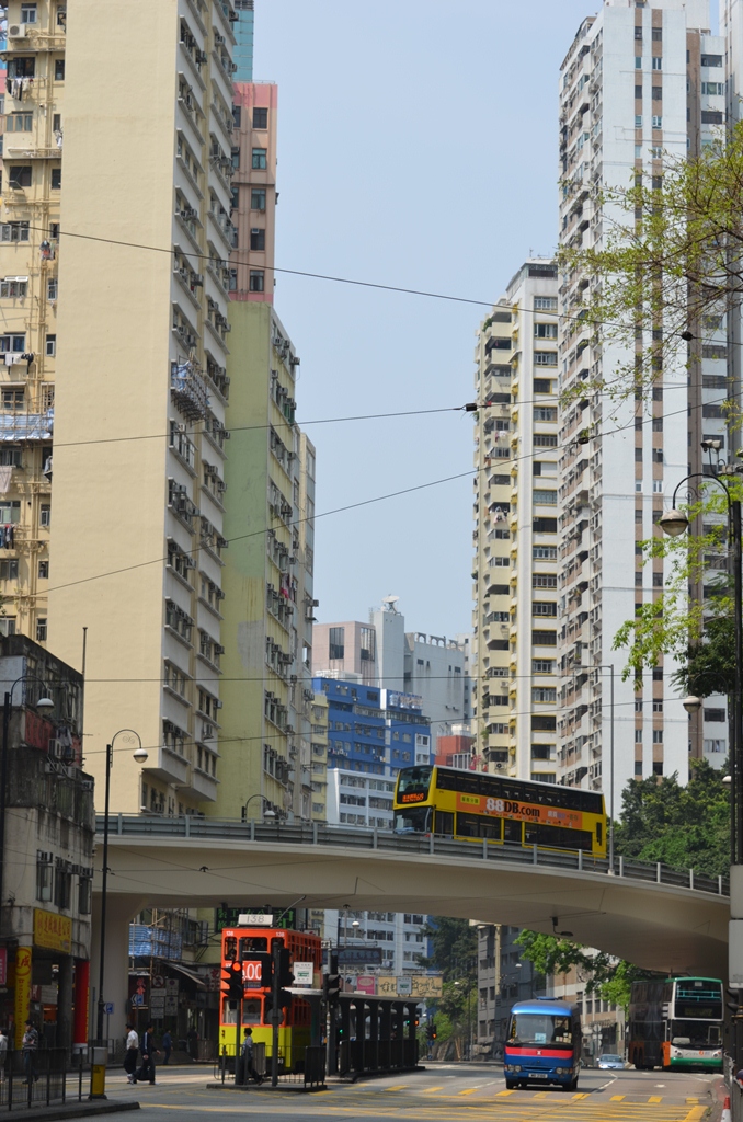 tinhau8.jpg