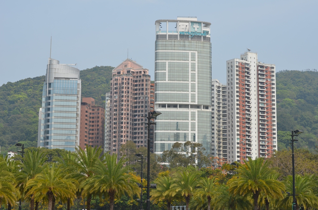 tinhau.jpg