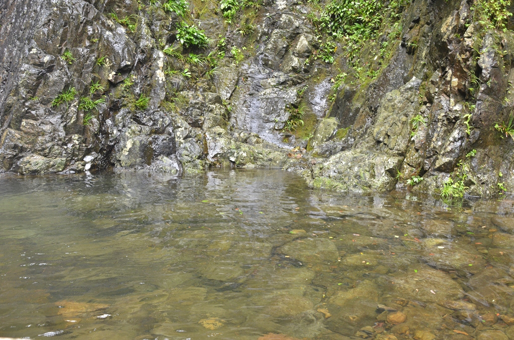 waterf3.jpg