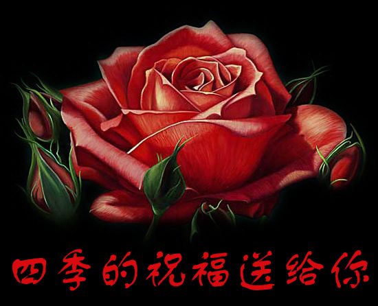 51358E31051A1C31EB163646B5EFFFB1.jpg