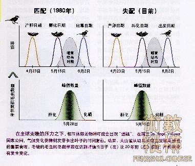 环境变化（时间因素）带来烦恼.jpg