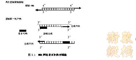abbr_0%FD%2EJPG%5F0406%2EJPG生命科学上基因组DNA的对立统一.jpg