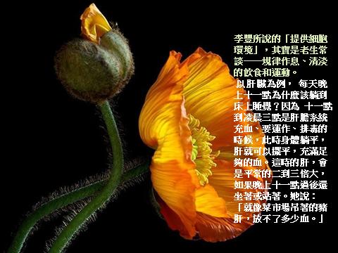 肝臟.jpg