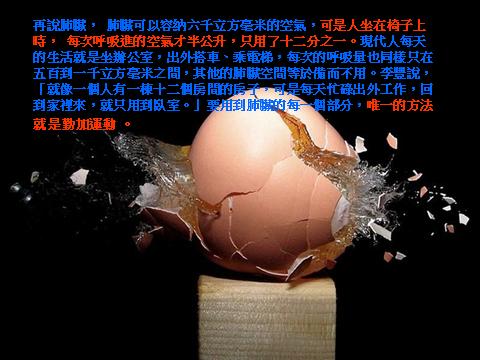 肺部.jpg