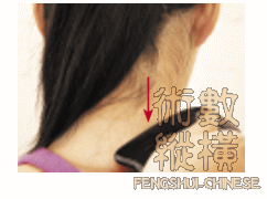 04.gif