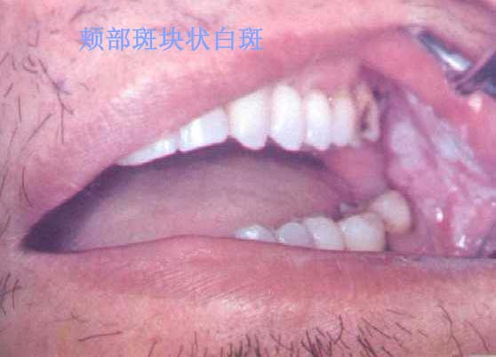 061108-kn.jpg