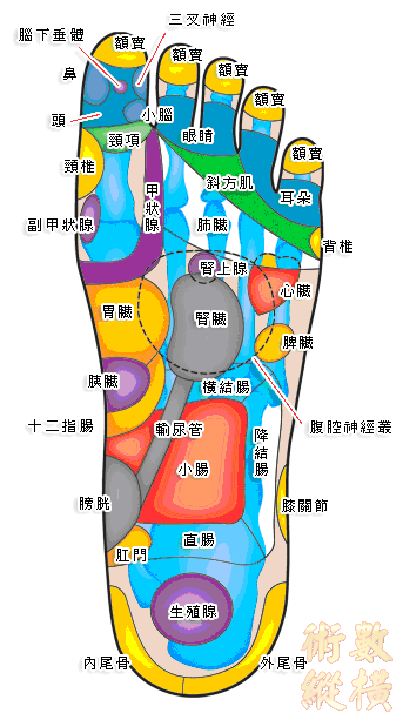 Health19.gif