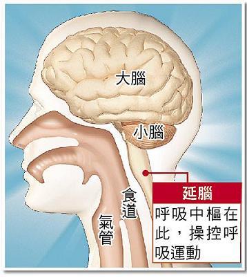 bn02.JPG