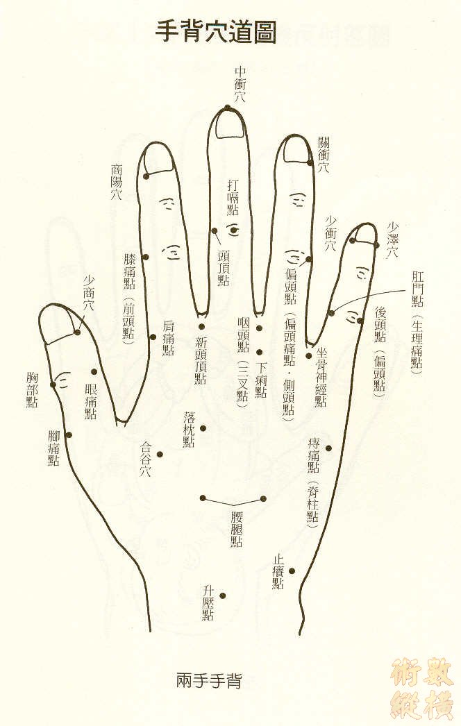 d6.jpg